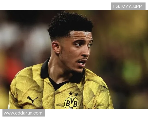 多特蒙德球迷骚乱事件引发欧冠禁赛三场及罚款50万欧元的严厉处罚