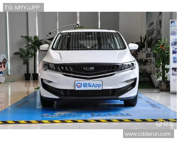 国王与老鹰的对决:荣耀与智慧的巅峰较量 国王与老鹰的对决:荣耀与智慧的巅峰较量